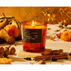 Rewined Svíčka Harvest Burning of the Vines 170 g