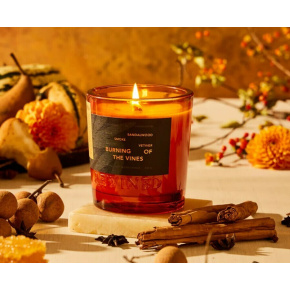 Rewined Svíčka Harvest Burning of the Vines 170 g Rewined Svíčka Harvest Burning of the Vines 170 g